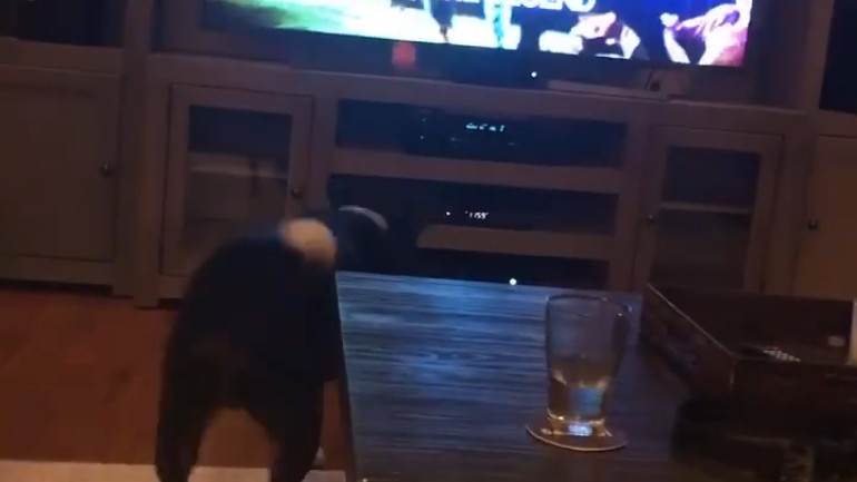 Fetching around electronics